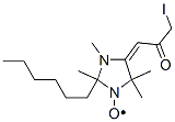 2-hexyl-2,3,5,5-tetramethyl-4-(3-iodo-2-oxopropylidene)imidazolidine-1-oxyl
