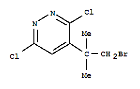 4-(1-Bromo-2-methylpropan-2-yl)-3,6-dichloropyridazine