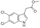 METHYL 5,6-DICHLORO-3-INDOLEACETATE