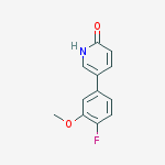 5-(4-FLUORO-3-METHOXYPHENYL)-2-HYDROXYPYRIDINE