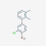 2-chloro-4-(2,3-dimethylphenyl)phenol