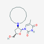 2'-DODECAMETHYLENEIMINO-3'-DEOXYTHYMIDINE