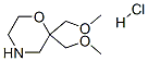 2,2-bis(Methoxymethyl)morpholineHCl