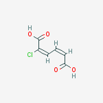 (2E,4Z)-2-chlorohexa-2,4-dienedioic acid