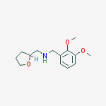 N-(2,3-Dimethoxybenzyl)-1-(tetrahydrofuran-2-yl)methanamine