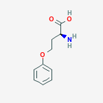 O-phenyl-L-homoserine