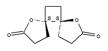 1,7-Dioxadispiro[4.0.4.2]dodecane-2,8-dione,(5R,6R)-rel- (9CI)
