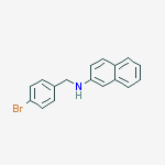 2-Naphthalenamine, N-[(4-bromophenyl)methyl]-