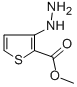 METHYL 3-HYDRAZINOTHIOPHENE-2-CARBOXYLATE