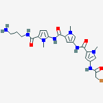M-bromoacetyldistamycin