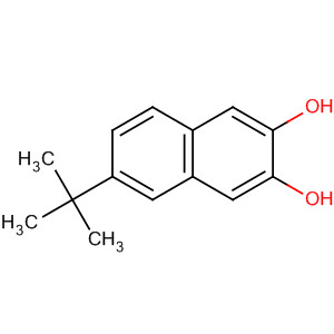 2,3-Naphthalenediol, 6-(1,1-dimethylethyl)- molecular structure