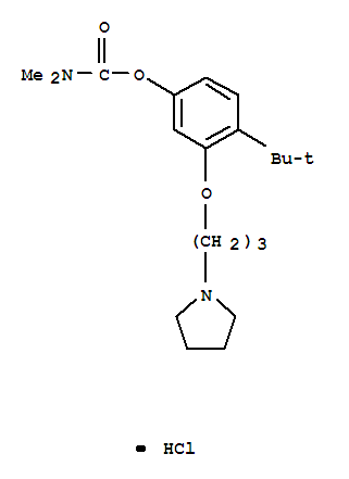 4-tert-butyl-3-(3-pyrrolidin-1-ylpropoxy)phenyl dimethylcarbamate hydrochloride molecular structure