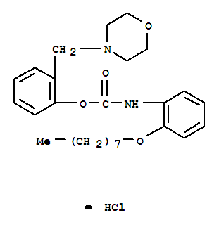 2-(morpholin-4-ylmethyl)phenyl [2-(octyloxy)phenyl]carbamate hydrochloride molecular structure