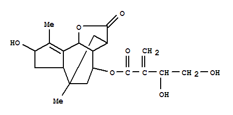 RotundopontilideF molecular structure