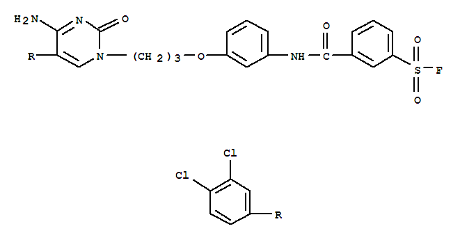 3-[(3-{3-[4-amino-5-(3,4-dichlorophenyl)-2-oxopyrimidin-1(2H)-yl]propoxy}phenyl)carbamoyl]benzenesulfonyl fluoride molecular structure