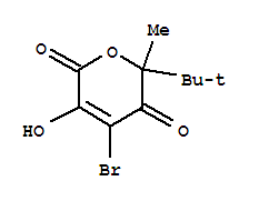 4-bromo-6-tert-butyl-3-hydroxy-6-methyl-2H-pyran-2,5(6H)-dione molecular structure