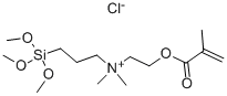 2-METHACRYLOXYETHYLDIMETHYL(3-TRIMETHOXYSILYLPROPYL)AMMONIUM CHLORIDE molecular structure