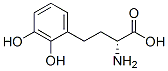 BENZENEBUTANOIC ACID, ALPHA-AMINO-2,3-DIHYDROXY-, (ALPHAR)- molecular structure