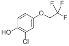 2-CHLORO-4-(TRIFLUOROETHOXY)-PHENOL molecular structure