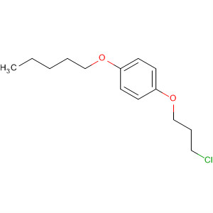 Benzene, 1-(3-chloropropoxy)-4-(pentyloxy)- molecular structure
