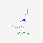 2,5-DICHLORO-N-PROPYL-BENZENEMETHANAMINE HCL molecular structure
